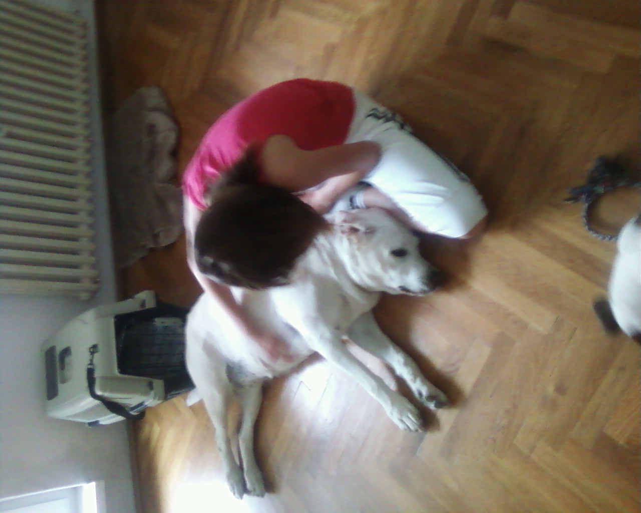 mazli