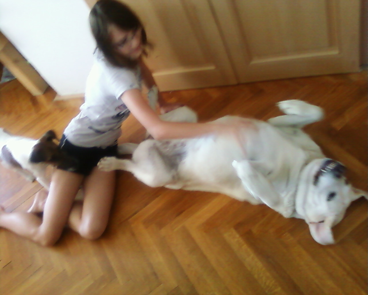 simry